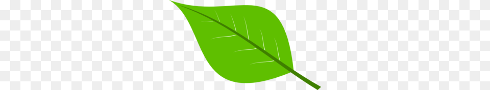 Green Leaf Clip Art, Plant, Annonaceae, Tree Free Png