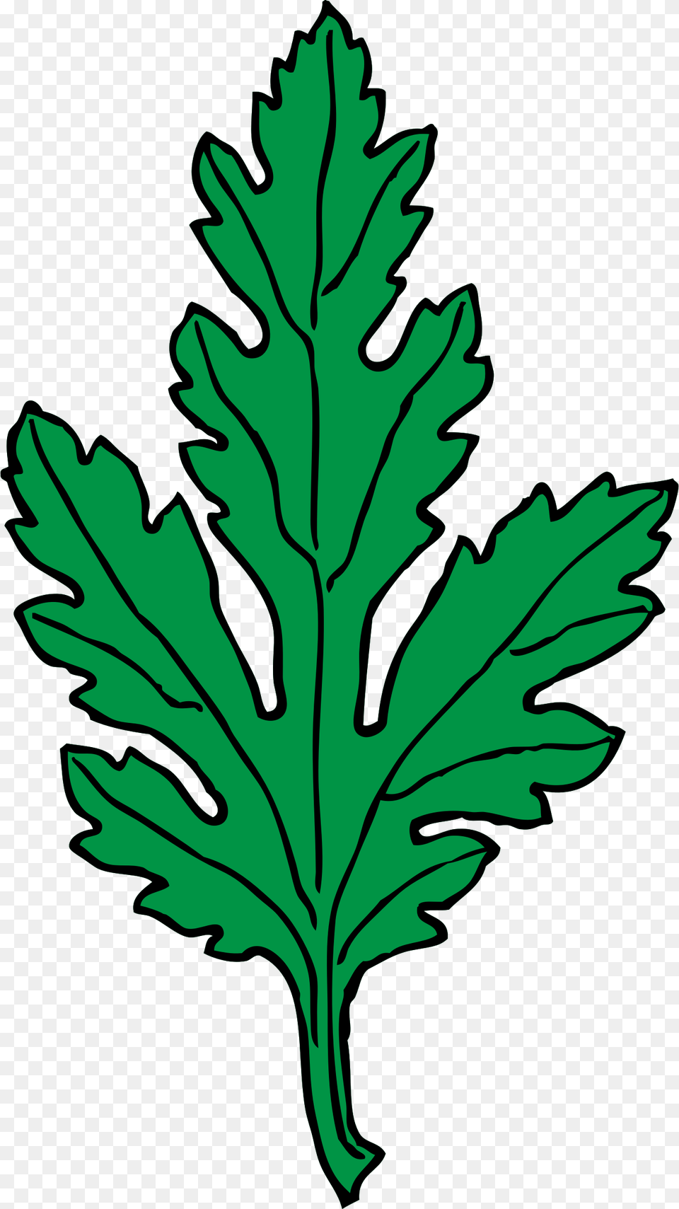 Green Leaf Clip Art, Herbs, Plant, Herbal, Food Png