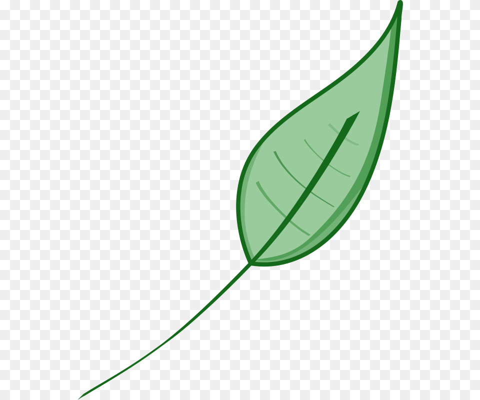 Green Leaf Clip Art, Plant, Flower Png Image