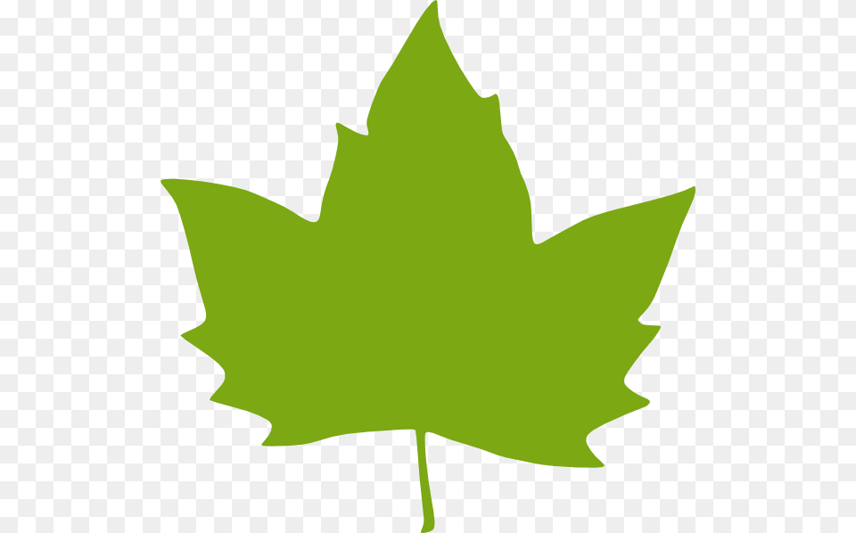 Green Leaf Clip Art, Plant, Maple Leaf, Tree, Animal Free Transparent Png