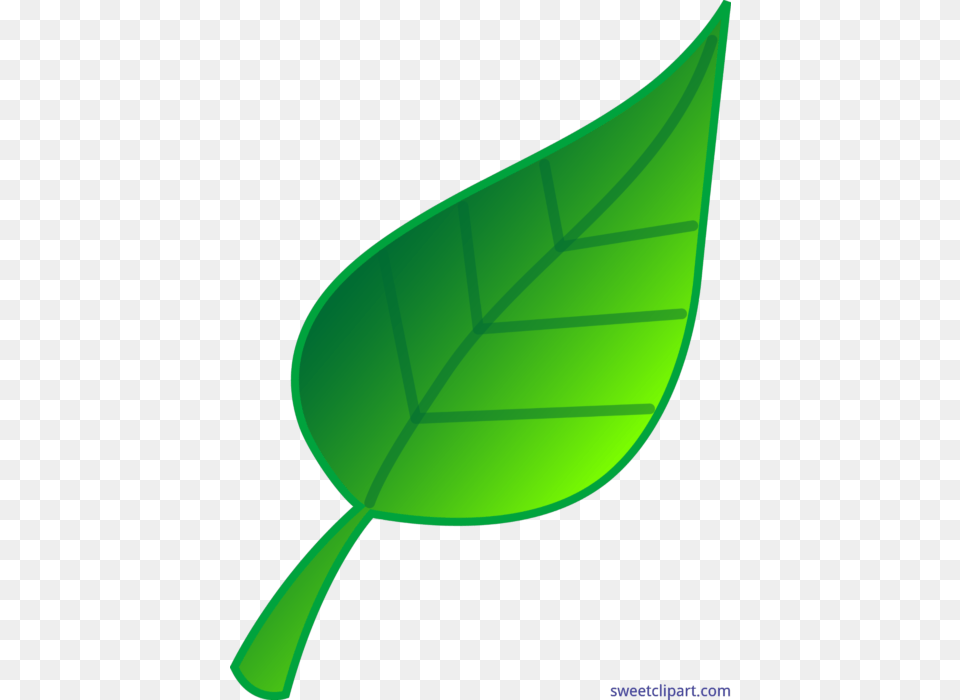 Green Leaf Clip Art, Plant Png Image