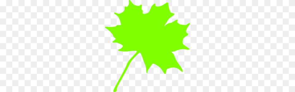 Green Leaf Clip Art, Maple Leaf, Plant, Person, Tree Free Transparent Png