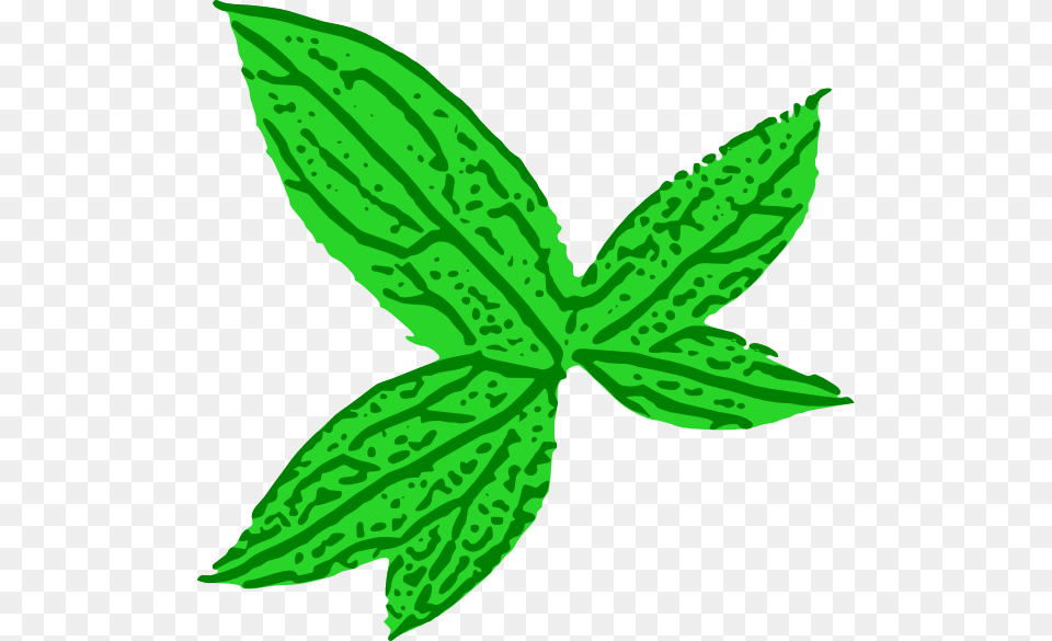 Green Leaf Clip Art, Herbs, Mint, Plant, Herbal Free Transparent Png