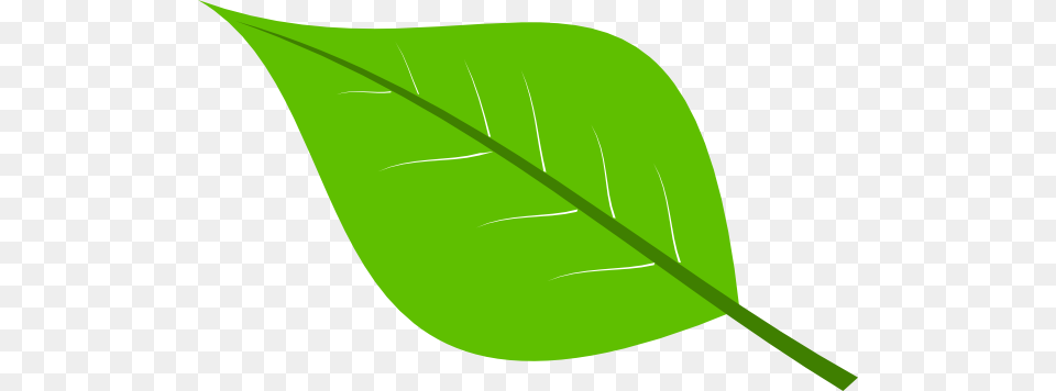 Green Leaf Clip Art At Clker Leaf Cartoon Background, Plant Free Transparent Png