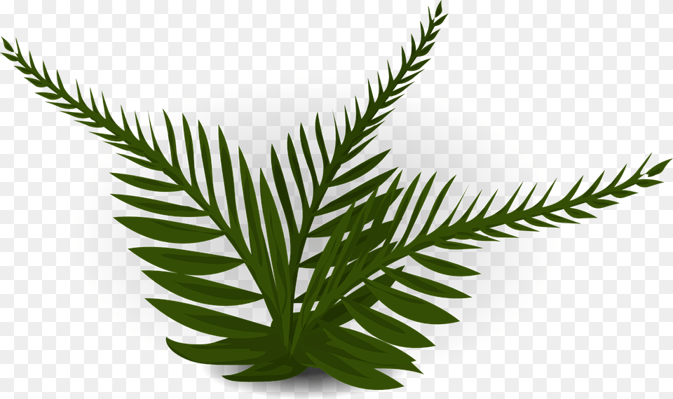 Green Leaf Clip Art Prehistoric Plants, Fern, Plant, Tree, Vegetation Png Image