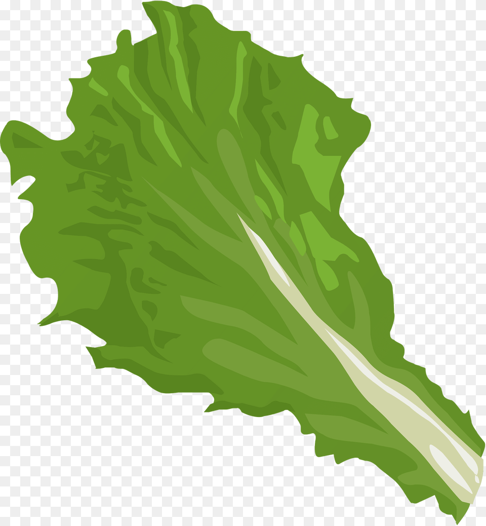 Green Leaf Clipart, Food, Lettuce, Plant, Produce Free Png Download