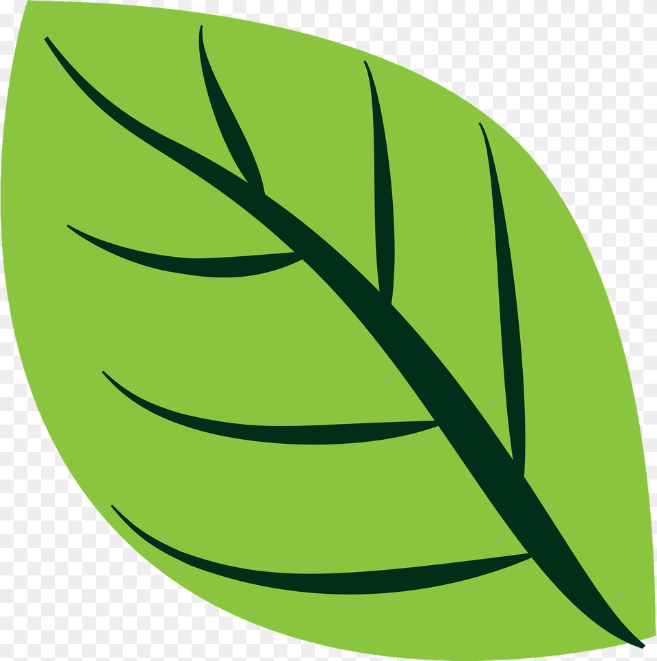 Green Leaf Clipart, Herbal, Herbs, Plant, Blade Free Transparent Png
