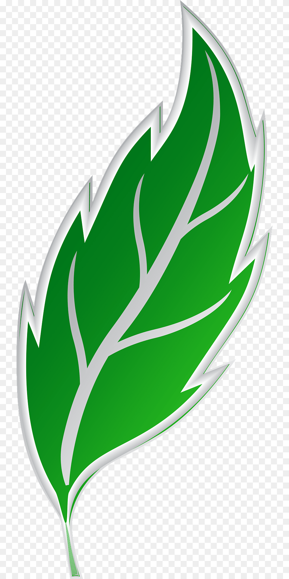 Green Leaf Clipart, Plant Free Png