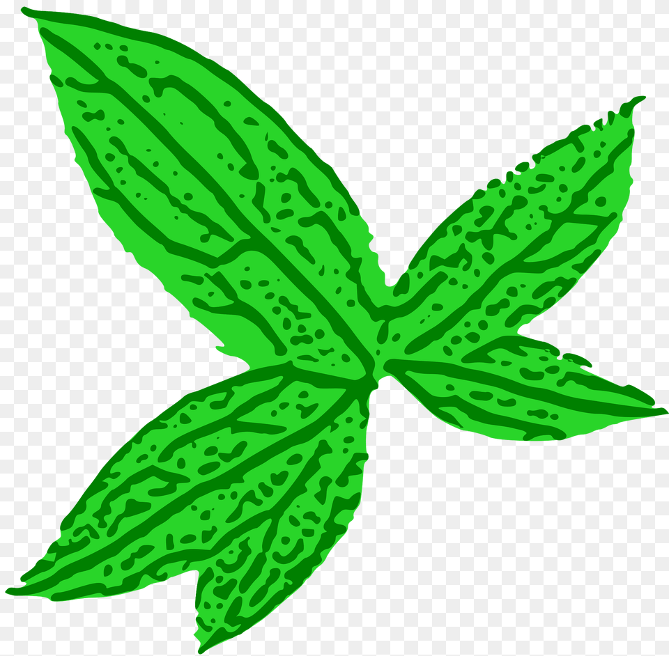 Green Leaf Clipart, Herbs, Plant, Mint, Herbal Png Image