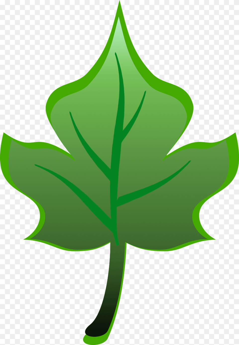 Green Leaf Clipart, Plant, Tree, Maple Leaf, Oak Free Transparent Png