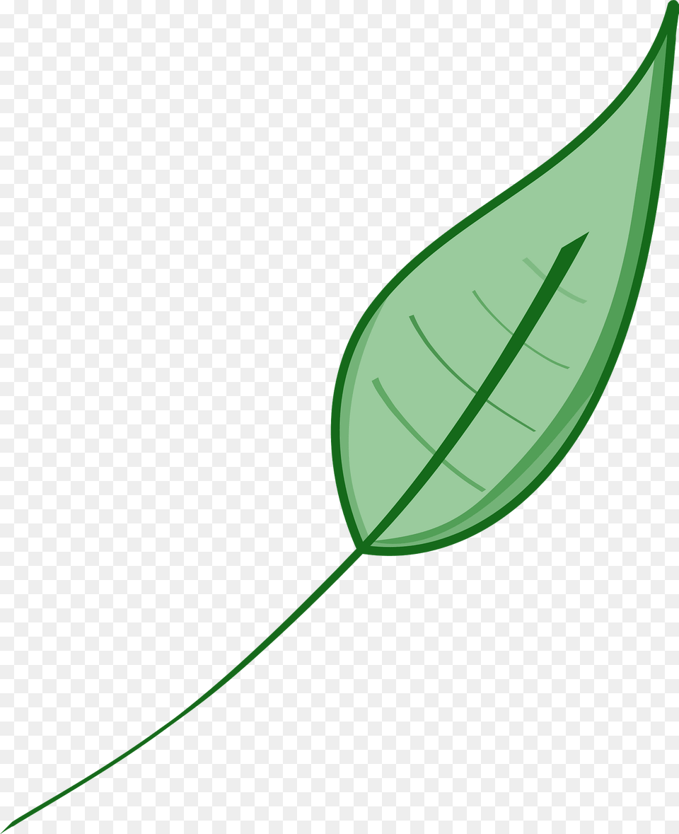 Green Leaf Clipart, Plant Png Image