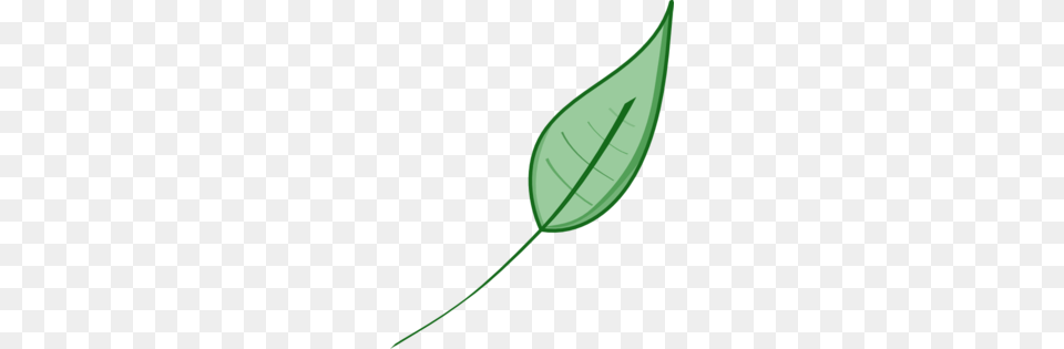Green Leaf Clipart, Plant, Flower Free Png