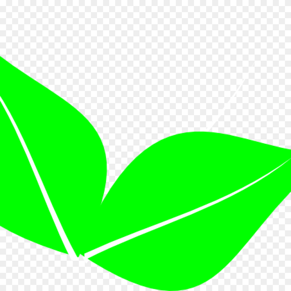 Green Leaf Clipart Clipart Download, Plant, Animal, Fish, Sea Life Free Png