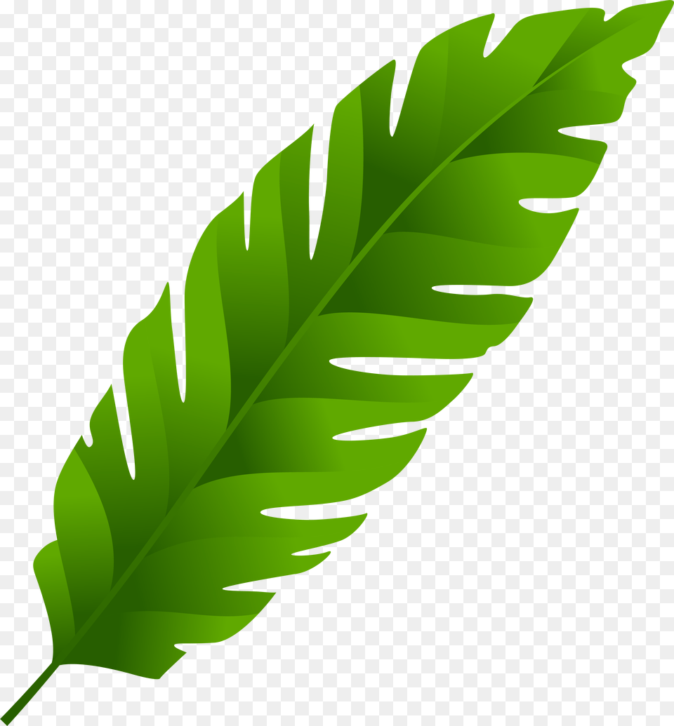 Green Leaf Clipart Hd Bamboo Leaves, Plant, Person Png