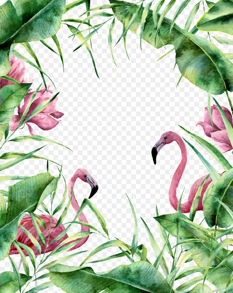 Green Leaf Flower Flamingo Decoration Transparent Free Tropical Floral Border, Vegetation, Plant, Outdoors, Nature Png Image
