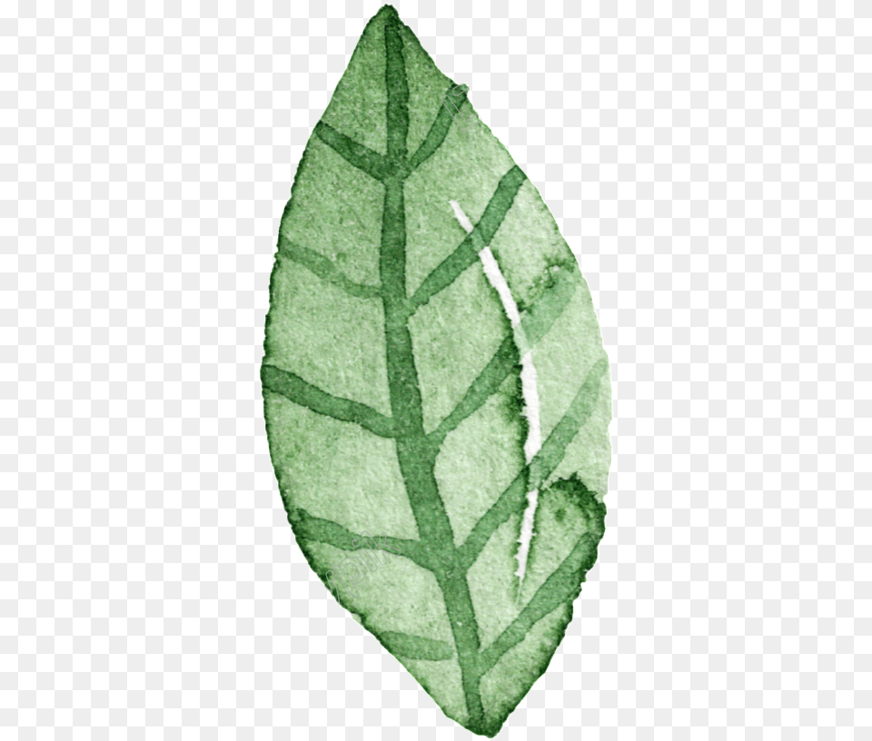 Green Leaf Hand Painted Watercolor Cartoon Transparent Portable Network Graphics, Plant, Person Png