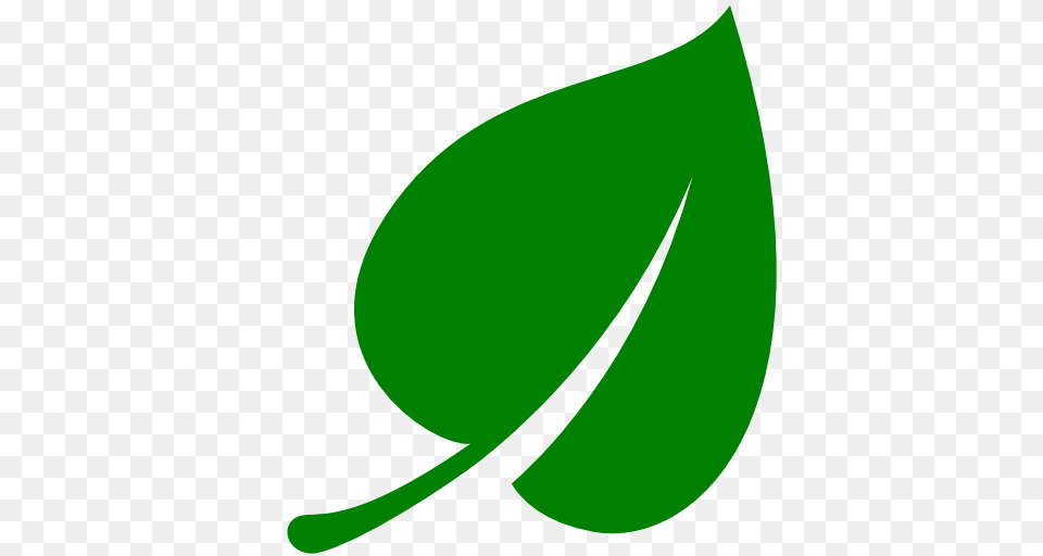 Green Leaf Icon, Plant Png Image