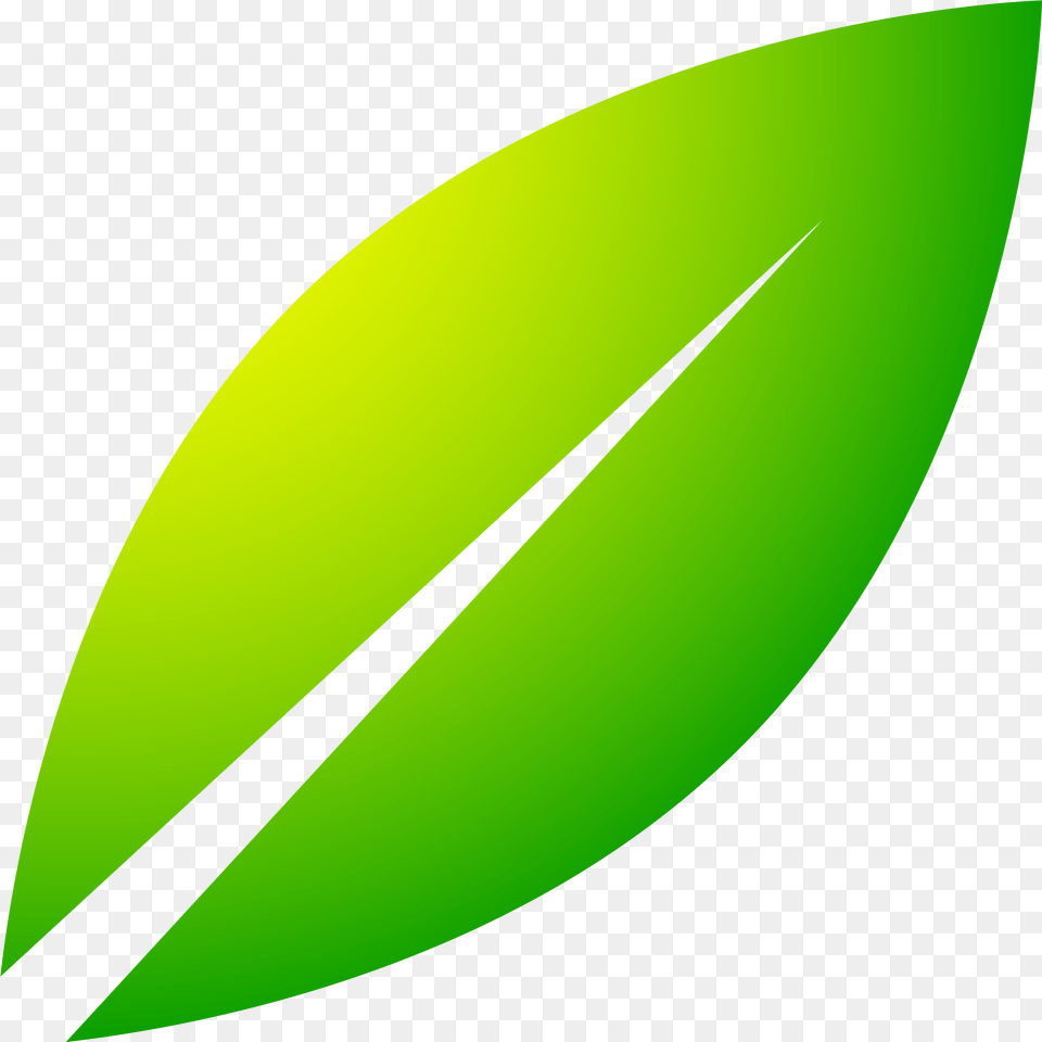 Green Leaf Icon Silhouette Graphic Design, Plant, Nature, Outdoors, Water Png