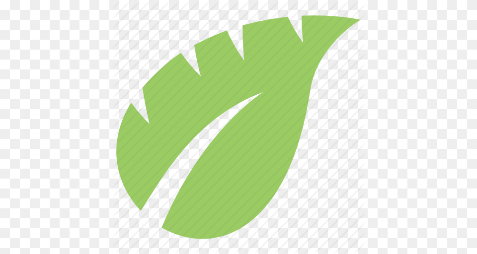 Green Leaf Leaf Leaf Design Monstera Leaf Tropical Leaf Icon, Plant, Logo Free Png Download