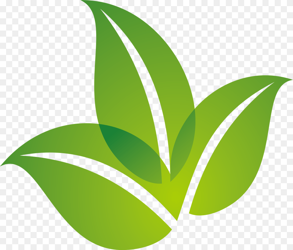 Green Leaf Logo Design Download Transparent Green Leaf Logo, Plant, Herbal, Herbs Png