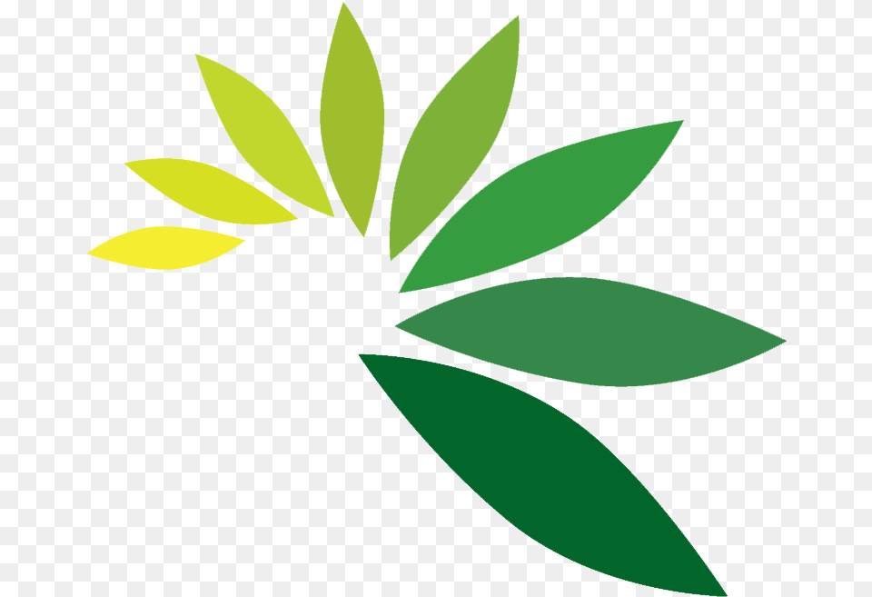 Green Leaf Logo Logos, Herbs, Plant, Herbal, Weed Png Image