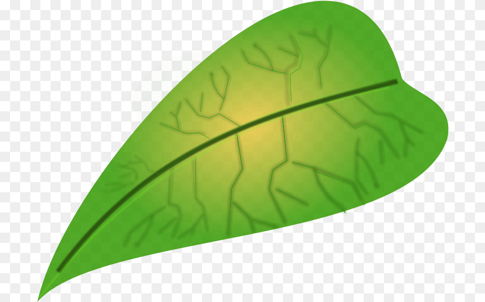 Green Leaf Small Leaf Clipart, Plant Free Png Download