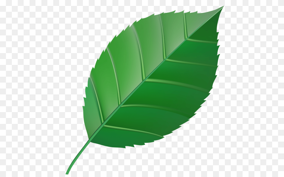 Green Leaf Clip Art, Plant, Bow, Weapon Free Transparent Png