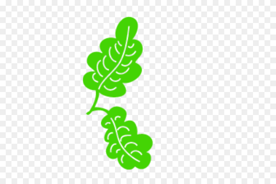 Green Leaf Vector Free Leaf Vector Logo Leaf Background, Food, Fruit, Grapes, Plant Png