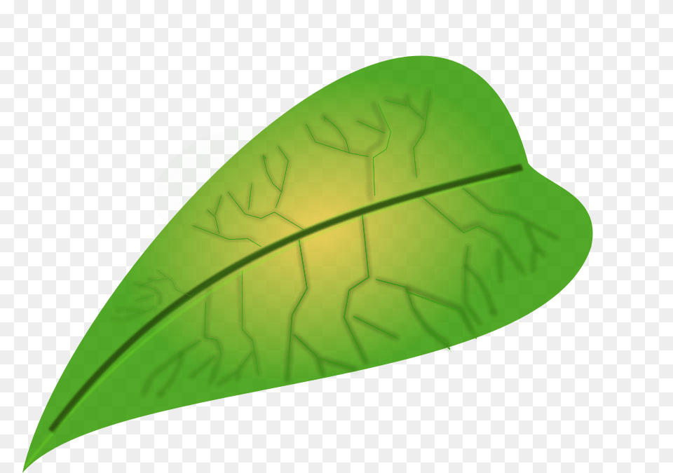 Green Leafs Clipart, Leaf, Plant Png