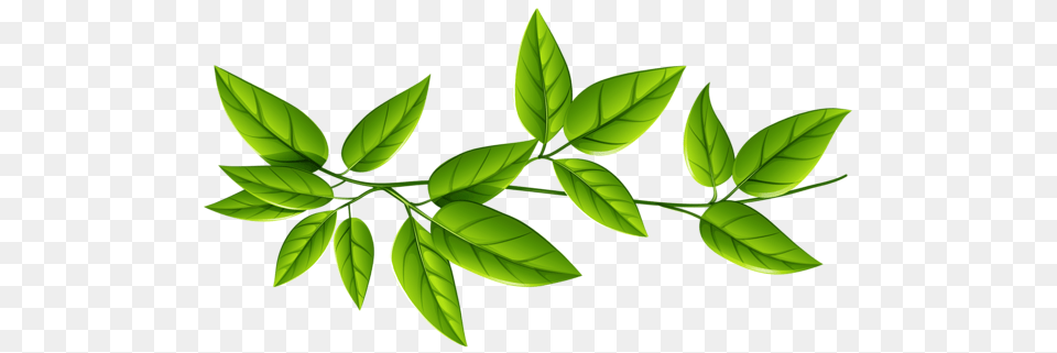 Green Leaves, Plant, Leaf, Appliance, Ceiling Fan Png Image