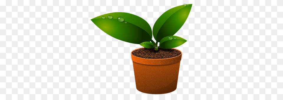 Green Leaves Leaf, Plant, Soil, Appliance Free Png