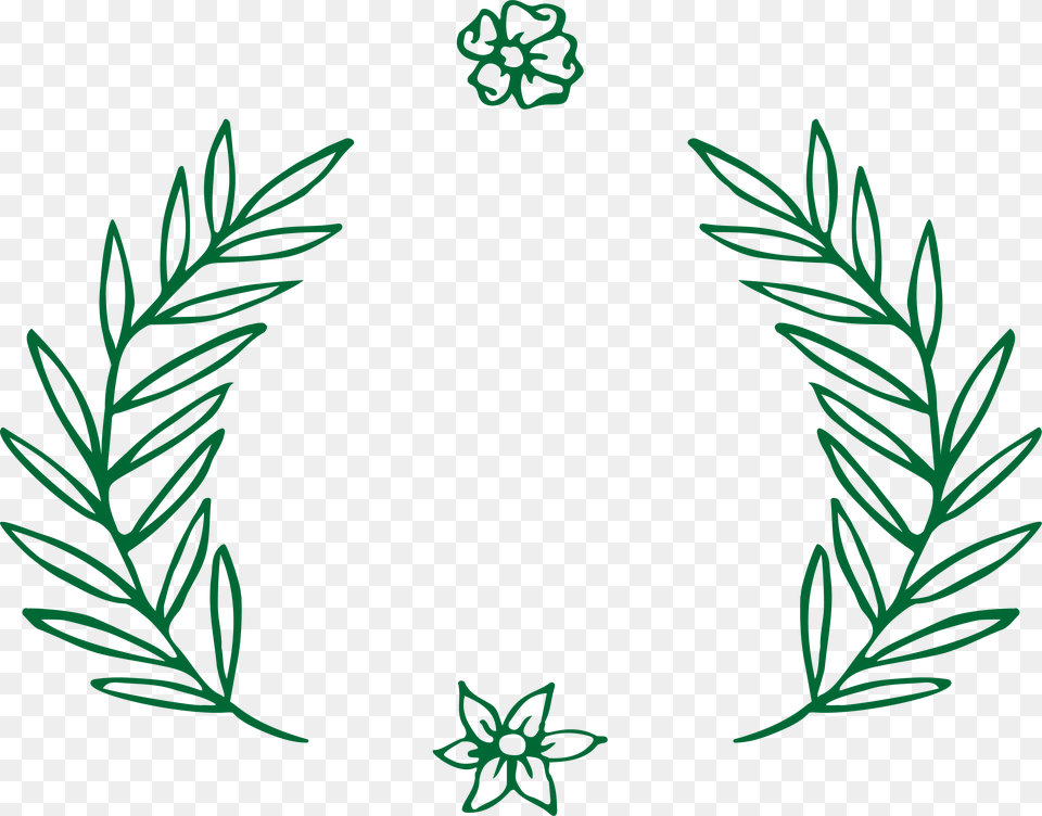 Green Leaves Border Leaves Border, Plant, Tree, Conifer, Herbal Free Png Download