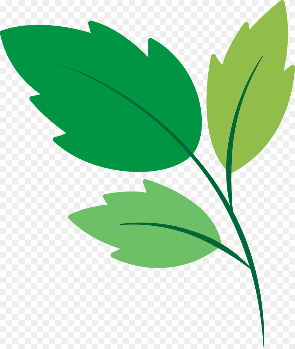 Green Leaves Clipart, Leaf, Herbal, Herbs, Plant Free Png