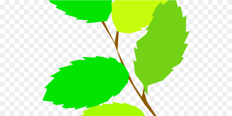 Green Leaves Clipart 5 Leave Plant With 5 Leaves Clipart, Leaf, Tree, Person Free Png Download