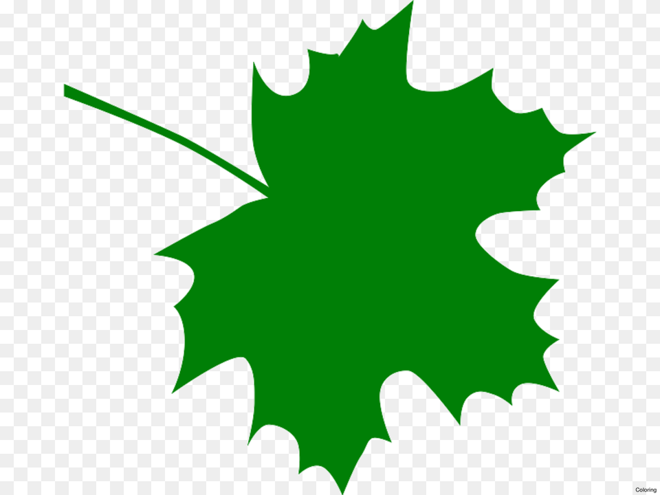Green Leaves Clipart Clip Art Green, Leaf, Maple Leaf, Plant, Tree Free Png