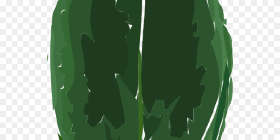 Green Leaves Clipart Tea Leaf Illustration, Plant, Person, Vegetation, Food Free Transparent Png