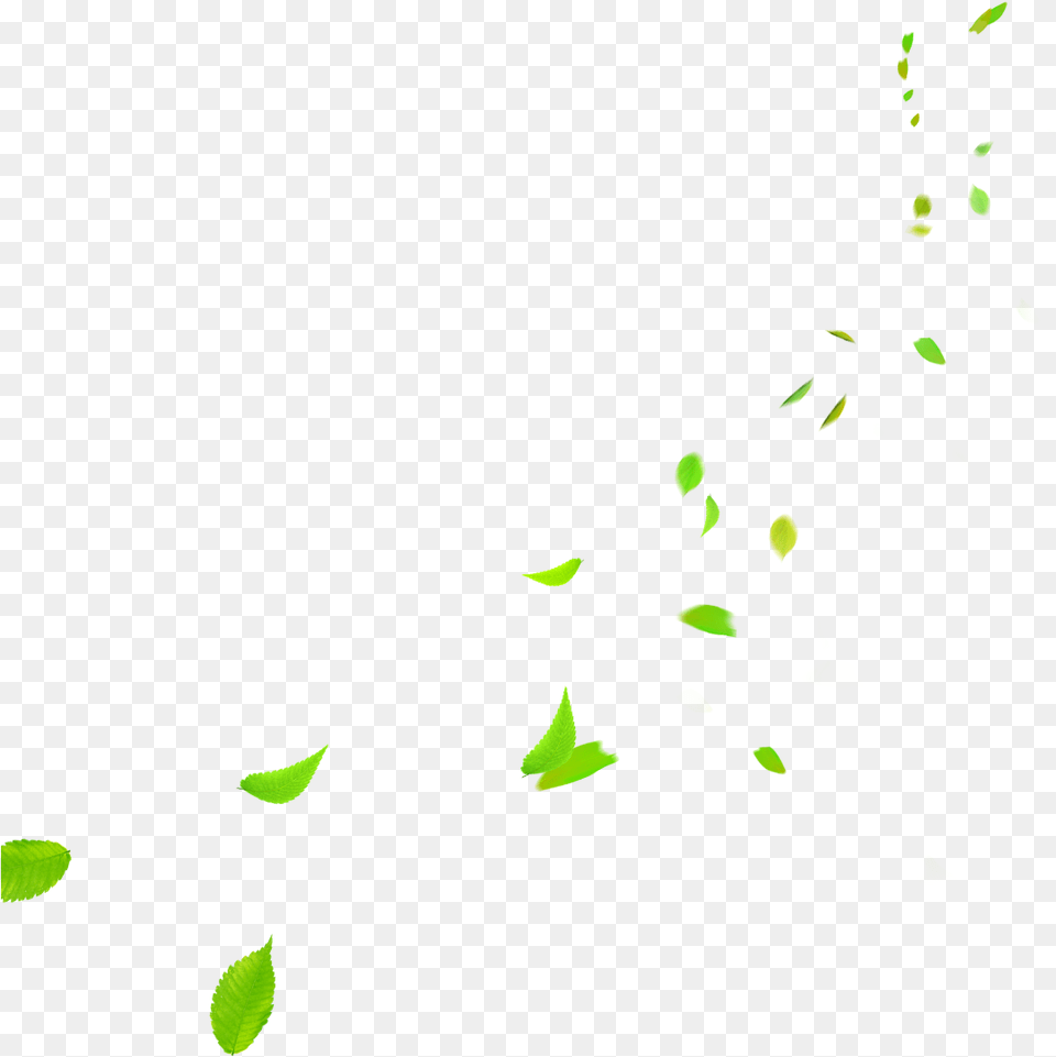 Green Leaves Falling Fall Green Leaves, Paper, Animal, Firefly, Insect Free Transparent Png