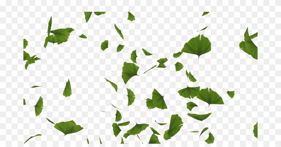 Green Leaves Falling Transparent, Herbal, Herbs, Leaf, Plant Png