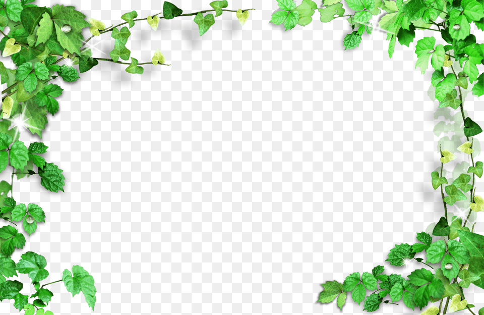 Green Leaves Frame Transparent Background Border Leaves Png Image