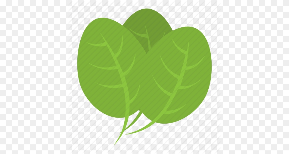 Green Leaves Green Vegetable Spinach Spinach Leaves Vegetable Icon, Leaf, Plant, Food, Leafy Green Vegetable Png