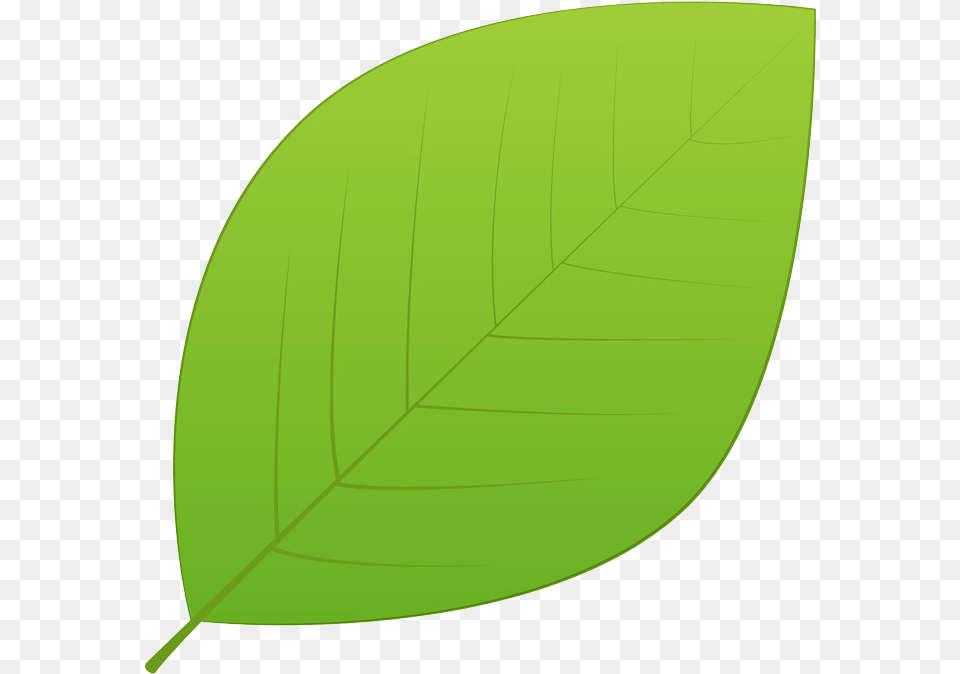 Green Leaves Hd Background Child, Leaf, Plant, Disk Png Image