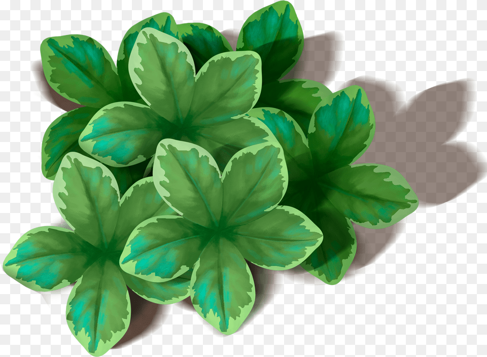 Green Leaves Image For Green Leaves, Herbs, Leaf, Plant, Mint Free Transparent Png