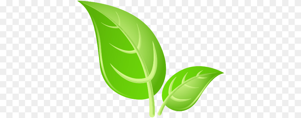 Green Leaves Images Hd Play Green Leaf Hd, Herbal, Herbs, Plant Free Png