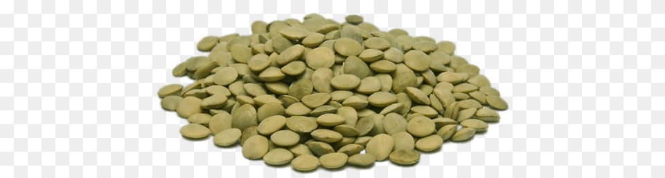 Green Lentils, Bean, Food, Lentil, Plant Png