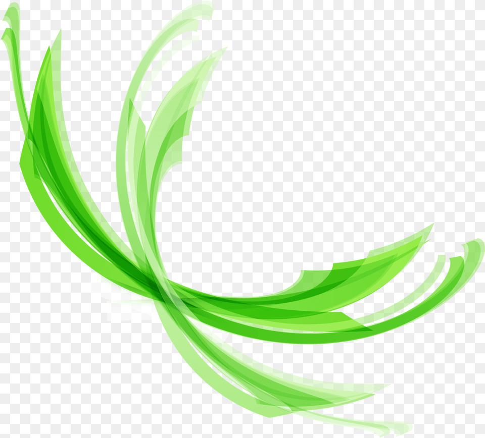 Green Lines Lineas Decorativas Verdes, Art, Pattern, Leaf, Herbs Png Image