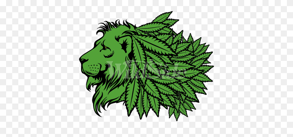 Green Lion Head With Marijuana Leaf Mane The Wild Side, Plant, Oak, Sycamore, Tree Free Png Download