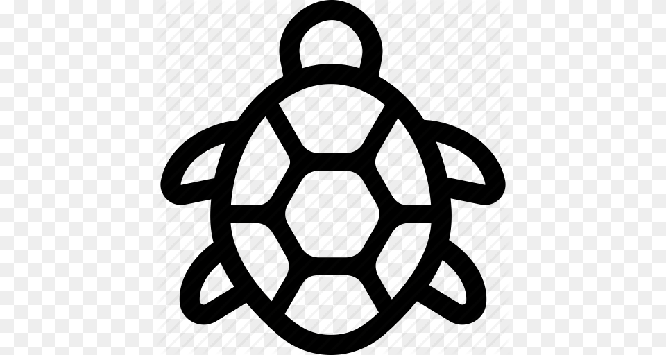 Green Loggerhead Marine Sea Turtle Turtle Icon, Bag Free Transparent Png