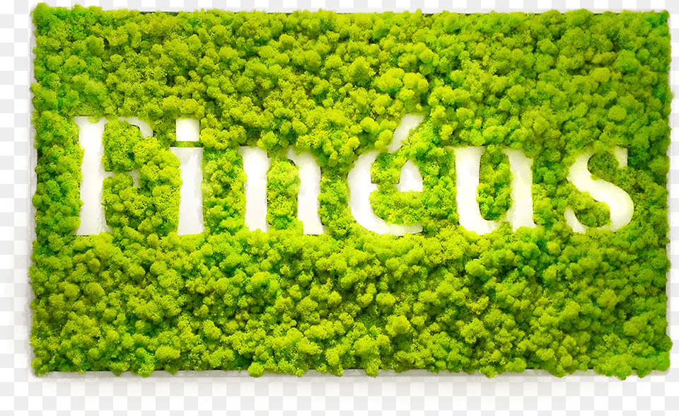 Green Logo Mur Vgetal Avec Logo, Vegetation, Tree, Rainforest, Plant Free Transparent Png