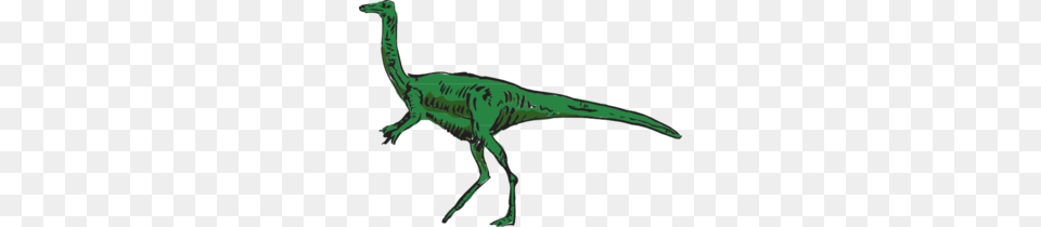 Green Long Necked Dinosaur Clip Art, Animal, Reptile, T-rex, Kangaroo Png