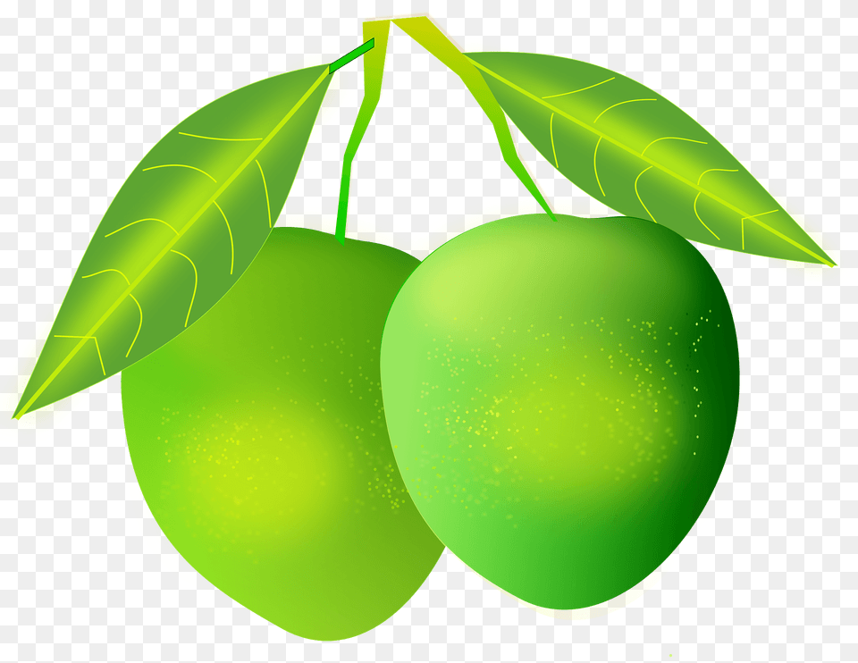 Green Mangos On The Branch Clipart, Food, Fruit, Plant, Produce Png
